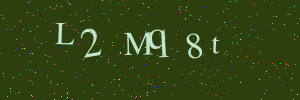 Validation image