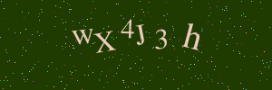 Validation image