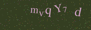 Validation image