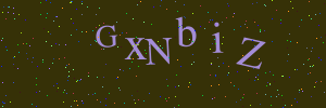 Validation image